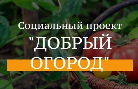 Новый сезон проекта #ДОБРЫЙ ОГОРОД-2023 – приглашаем к участию Новый сезон проекта #ДОБРЫЙ ОГОРОД-2023 – приглашаем к участию