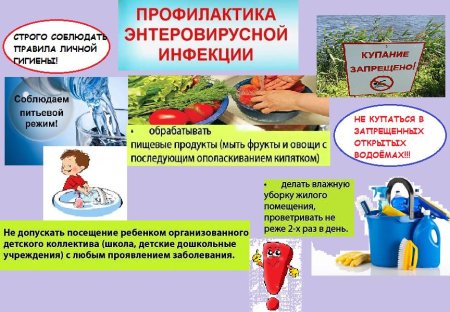 Роспотребнадзор напоминает о правилах профилактики энтеровирусной инфекции Роспотребнадзор напоминает о правилах профилактики энтеровирусной инфекции