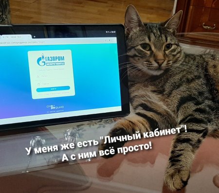 ПОРА ПЕРЕДАВАТЬ ПОКАЗАНИЯ СЧЕТЧИКА ГАЗА! ПОРА ПЕРЕДАВАТЬ ПОКАЗАНИЯ СЧЕТЧИКА ГАЗА!
