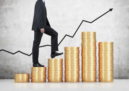 Порядка 450 млрд рублей привлек бизнес через региональные гарантийные и микрофинансовые организации в 2024 году Порядка 450 млрд рублей привлек бизнес через региональные гарантийные и микрофинансовые организации в 2024 году